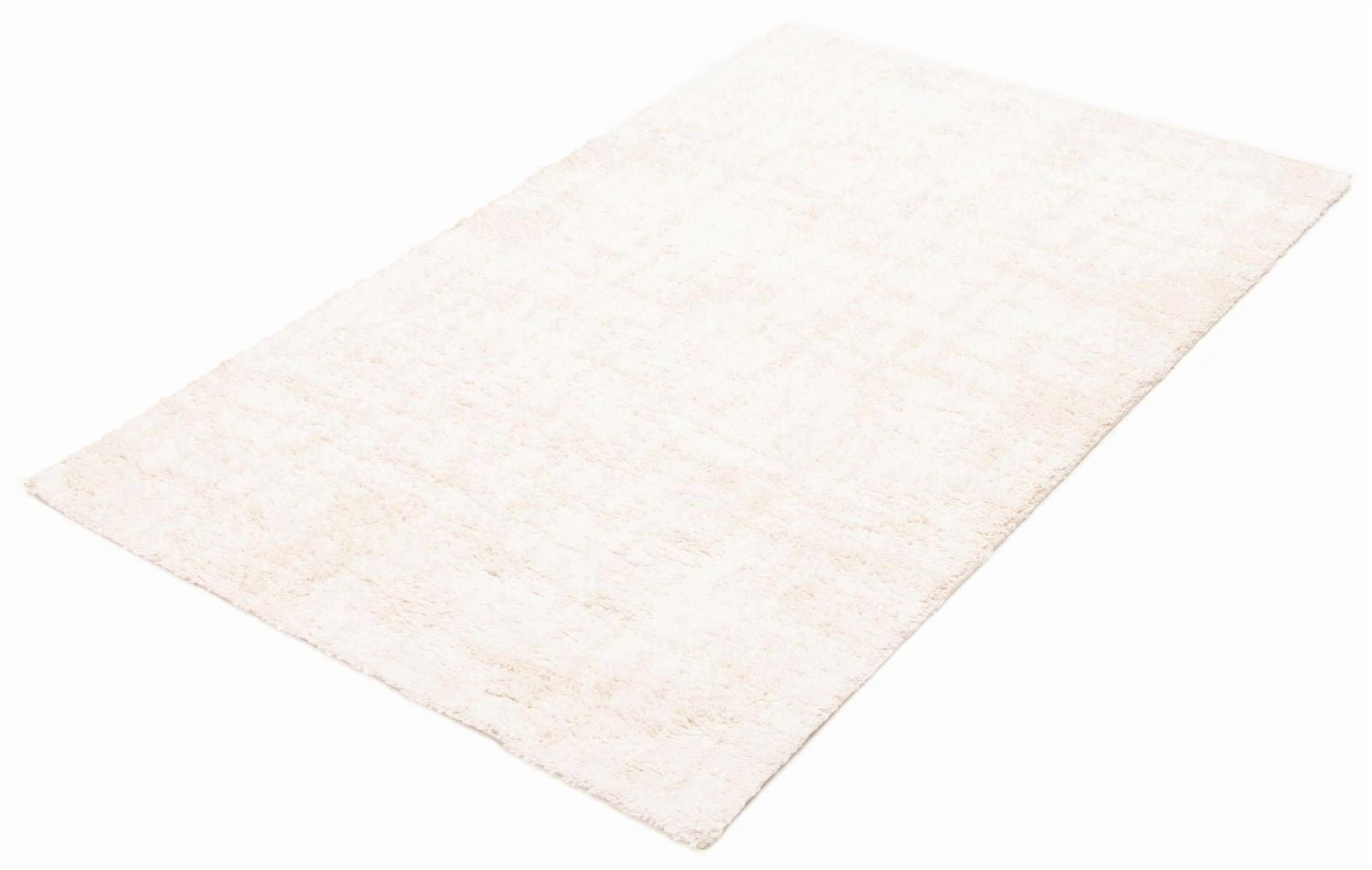 ECARPET Bliss 5'0" x 8'0" Contemporary/Modern, Plush & Shags Area Rug for Living Room, Bedroom, Dining Entrance, Hallway and More.