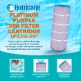 thumbnail image 2 of Hurricane HF8316-01P Cartouche de Filtre de Remplacement pour Piscine et Spa Platinum Purple, 2 of 7