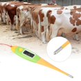 thumbnail image 3 of Professional Plastic Electronic LCD Digital Animal Thermometer for Pet Dogs, 3 of 8