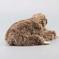 thumbnail image 3 of uiuoutoy Three Toed Sloth Plush Realistic Simulated Wild Animal Toy 13'', 3 of 5