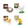 thumbnail image 2 of thinsony Figurines de Cycle de Vie Jouet Éducatif Réaliste pour Fête Poulet, 2 of 9