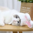 thumbnail image 4 of MasteelfCA 2Pcs Adorable Cat Costume Decorative Cat Hats Wear-resistant Kitten Hats Cat Accessory, 4 of 7