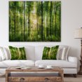 thumbnail image 4 of Design Art - Forest with Rays of Sun Panorama, 4 of 5