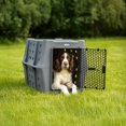 thumbnail image 4 of Dakota 283 Canine Rough and Tough Economy Pet Kennel, Intermediate, Dark Granite, 4 of 11