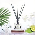 thumbnail image 2 of PRISTINE Himalayan Tea Reed Diffuser White Tea Scent/Reed Diffuser Oil Refill with 5 Cotton Reed Sticks Himalayan Tea | Scent Fragrance for Office, Bedroom,Living Room, or Bathroom, Home Décor, 1.6 Oz, 2 of 8