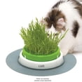 thumbnail image 5 of Catit Senses 2.0 Cat Recharge d'Herbe (Semences Seulement), 5 of 5