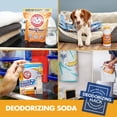 thumbnail image 2 of Arm & Hammer A&H Baking Soda 16Oz, 2 of 13