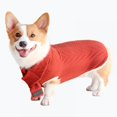 thumbnail image 1 of Pull pour Chien Vêtements Chauds d'Hiver avec Foulard, 1 of 11