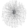 thumbnail image 2 of CWI Lighting Lustre Fleur de Cerisier 48 Lumières avec Finition Chromée, 2 of 6