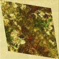 thumbnail image 1 of Ahgly Tapis d'Intérieur Lavable en Machine Carré Transitionnel Brun Bronze Foncé, 4 Pieds Carré, 1 of 7