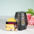 thumbnail image 3 of ScentSationals AromaBreeze Fragrance Disc Guava Hibiscus, 3 of 6