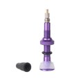 thumbnail image 1 of QualitChoice Pneu Valve Roue Noyau Vélo Accessoires Buse en Métal Multicolore Mini Taille Démontable Conception Remplacé Partie Tubeless Tige Rouge Violet, 1 of 6