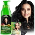thumbnail image 1 of Herbishh Shampooing Colorant Noir pour Cheveux Gris, Permanent, Hommes et Femmes (500 ml), 1 of 8