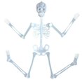 thumbnail image 1 of 150cm Luminous Skull Skeleton Body Scary Halloween Toy Haunted House Tricky Prop, 1 of 3