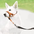 thumbnail image 2 of 2025 Pet Dog Nylon Rope Training Dog Leash Training Leash Strap Adjustable Walkabout Leash Traction Collar, 2 of 8