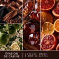 thumbnail image 3 of ScentSationals Scented Wax Cubes - Cabin Escape, 3 of 6