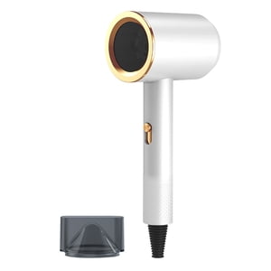 Birdeem Electric Hair Dryer High-Power Electric Hair Dryer Home Hair Dryer Hot Wind Comb Hair Salon Blowing Comb
