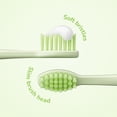 thumbnail image 3 of Brosse À Dents À Piles Ordo Sonic Kids – Squishmallows Rutabaga – Vert, 3 of 6