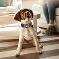 thumbnail image 4 of Dioche Stop Barking Training Collar, Dog Collar, For Dog Pets, 4 of 8