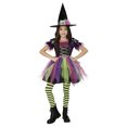 thumbnail image 1 of Costume de sorcière pour filles, grande taille, Partyholic, 1 of 4