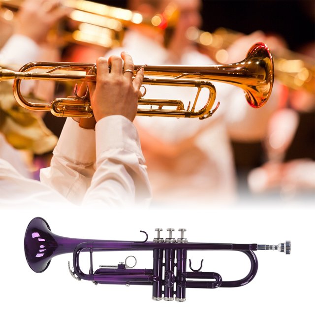 Gupbes Trumpet Set B Flat Brass Replacement Musical Instrument Accessories with Storage Bag,B Flat Trumpet,Trumpet Replacement