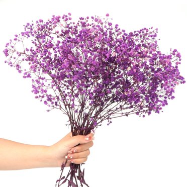 1pcs Gypsophila dried flower bouquet