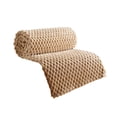 thumbnail image 1 of Birdeem Flannel Blanket Solid Color Multifunctional Cover Blanket, 1 of 1