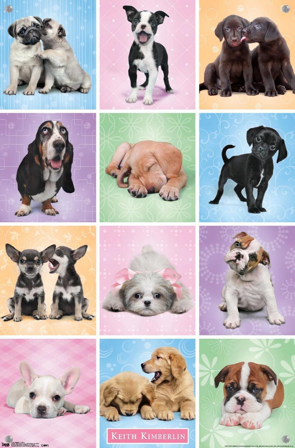Keith Kimberlin - Puppies - Cuties Grid Wall Poster