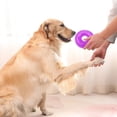 thumbnail image 3 of Durable Squeaky Spiky Ring Pet Toy Interactive Chew Teething for Puppy Dogs Outdoor Indoor Play Training Activity, 3 of 4