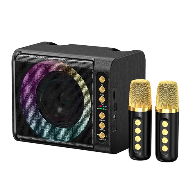T203 Machine de Karaoké avec 2 Microphones Carte TF Lecteur de Disque U Haut-Parleur Portable Studio Caisson de Basses pour Fête en Plein Air Réunion