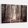 thumbnail image 2 of Sentier Forestier en Sépia, 2 of 3