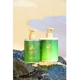 thumbnail image 3 of Malie Organics Koke'e Shampoo 14 oz, 3 of 4