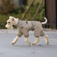 thumbnail image 4 of Insulated Four-Legged Dog Coat for Cold Weather and Outdoor Traction, 4 of 6