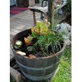 thumbnail image 5 of MGP Water Tight Half Wine Barrel Planter, 26" X 18" X 26", 5 of 5