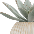 thumbnail image 2 of Bouclair Succulente Verte en Pot Céramique, 2 of 6