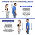 thumbnail image 3 of lionlar Men Women Adjustable Posture Corrector Low Back Support M 28-42Inch, 3 of 9