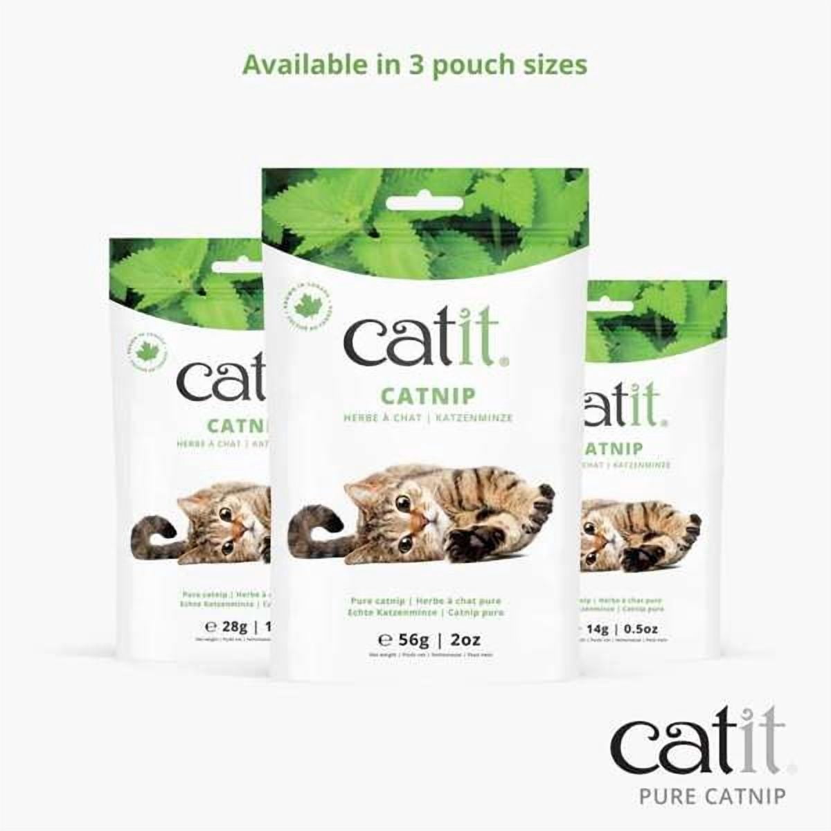 Catit Herbe à Chat Pure pour Chats, 28g