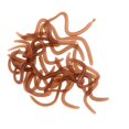 thumbnail image 1 of 20Pcs/ Clam Worms Artificial Grubs Special Smell, 1 of 7