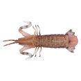 thumbnail image 2 of Simulation Shrimp Model,  Shrimp Model Solid Exquisite Details Plastic Mantis Shrimp Shape  For House Decoration For Children Cognitive Toy, 2 of 8