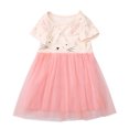 thumbnail image 1 of Qudderr Robe Princesse en Tulle Arc-en-Ciel pour Enfants 2-8 Ans Robe Imprimée pour Filles Robe d'Été en Maille pour Bébés Filles Jupe, 1 of 9