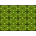 thumbnail image 1 of Ahgly Tapis Rectangulaire Lavable en Machine Vert Transitionnel, 2 Pieds x 5 Pieds, 1 of 7