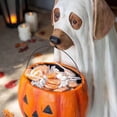 thumbnail image 4 of POINTERTECK Ghost Dog Support de Bol à Bonbons Halloween Bol à Bonbons pour Chien Halloween Support de Bonbons pour Chien Extérieur Bol à Bonbons d'Halloween Bol à Bonbons d'Halloween Grand Plat à Bonbons Citrouille-Chien, 4 of 6
