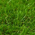 thumbnail image 2 of vidaXL Artificial Grass 1.5x5 m/40 mm Green, 2 of 3