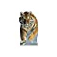 thumbnail image 3 of Advanced Graphics 804 Leprechaun avec Pot d'Or - Support en Carton Arc-en-Ciel Taille Réelle, 3 of 12