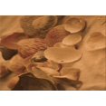 thumbnail image 1 of Ahgly Company Machine Washable Indoor Rectangle Transitional Neon Orange Area Rugs, 2' x 5', 1 of 7