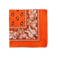 thumbnail image 1 of Pack of 20 XL Non Fading Paisley 100% Polyester Bandanas 27 x 27 In - Bulk, 1 of 2
