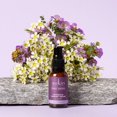 thumbnail image 5 of Sukin Purely Ageless Intensive Firming Serum, 5 of 5