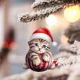 thumbnail image 2 of WIFKLSIIPG 2D Acrylic Funny Cat Christmas Tree Ornament Cat Acrylic Ornament Acrylic Double Printing Funny Christmas Pendant Christmas White Elephant Gift 2D Fun Pendant, 2 of 5