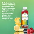 thumbnail image 3 of SYNERGY LE VÉRITABLE KOMBUCHA TRILOGIE 1,4 litre G.T.'s TRILOGY 1.4L, 3 of 5