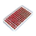 thumbnail image 1 of jifeng Artificial DIY Miniature Flower Cluster Grass Tufts Diorama Layout Scenery Model Pink Red, 1 of 9